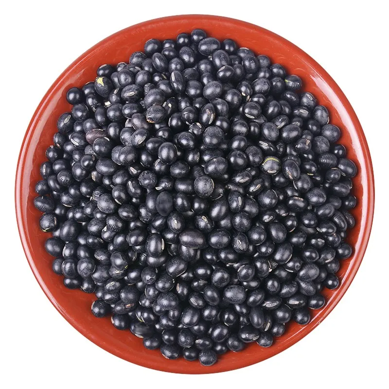 
High quality new Crop Dried Black Kidney Bean 