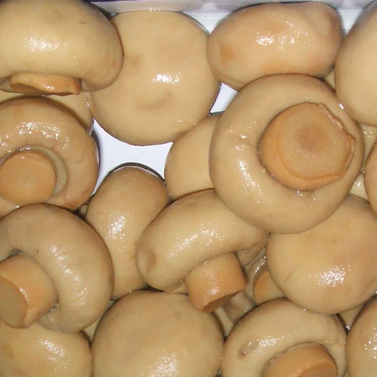 Оптовая продажа из Китая, консервированные грибы, цельные/ломтики