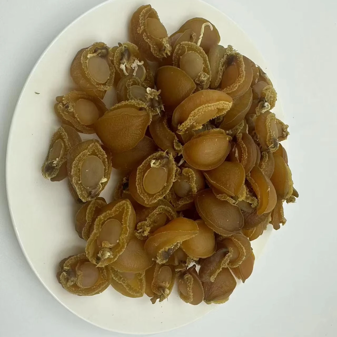 Заводская цена сушеные морепродукты мясо морского ушка сушеная раковина Галиотис