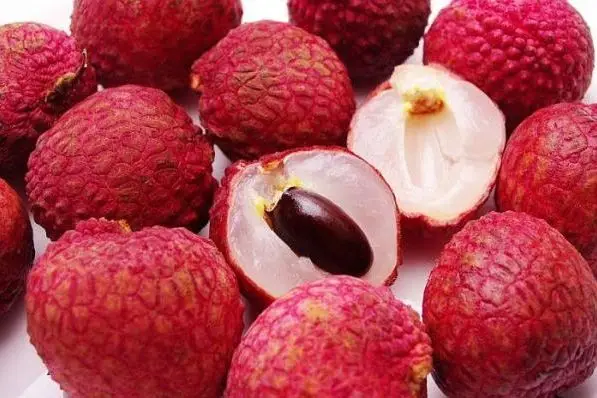 
Sweet And Delicious Tropical Canned Lychee Fruit 