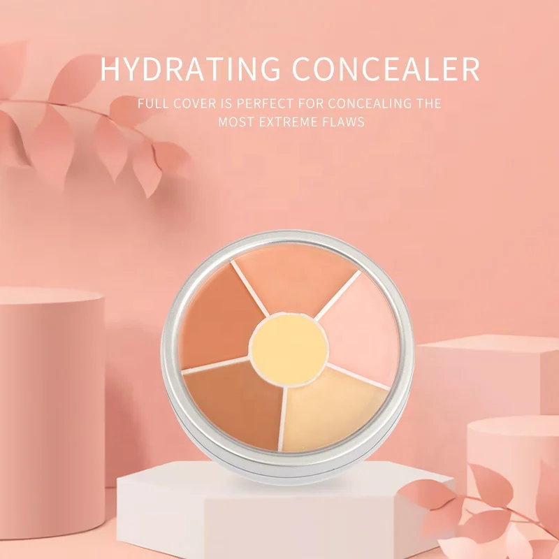 Professional OEM Factory Of High Quality Beauty Makeup Custom Cosmetics Full Coverage Concealer Concealer Palette