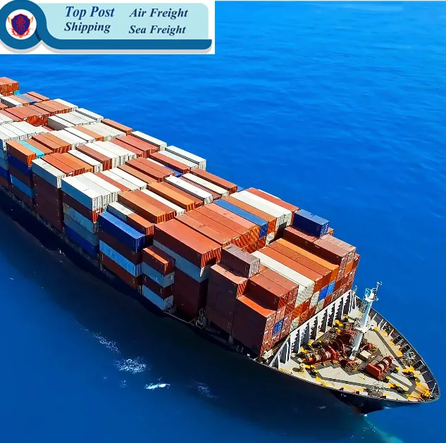 
China sea logistic agent and lower shipping rate/from China to Germany/France/Netherland/doorto doorDDPservice 