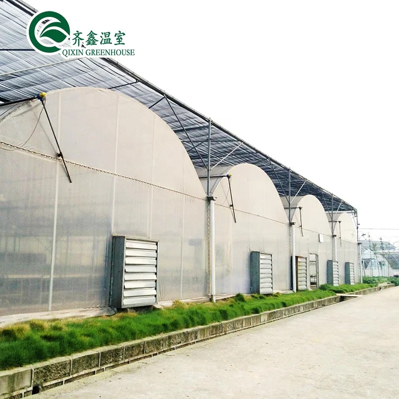 China agricultural  Greenhouse with seeding machine