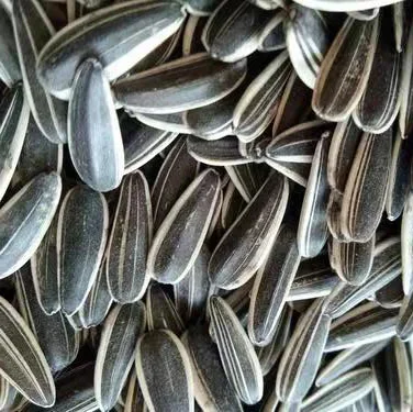 Hot Selling Chinese Non GMO High Quality Good Price Organic Raw Sunflower Kernels Seeds