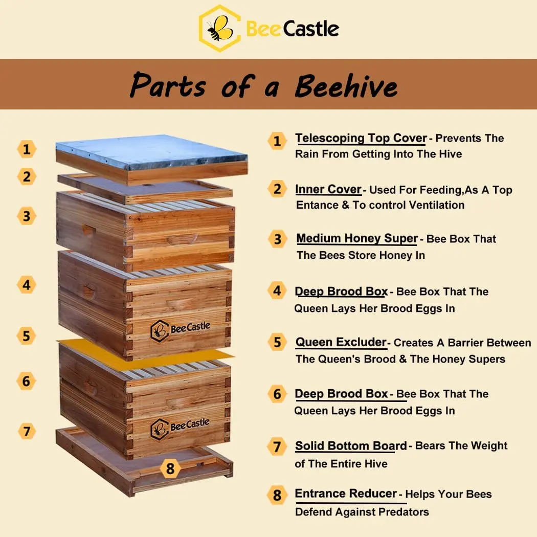 8 Frame Wooden Bee Hives Complete Beehive Kit With 2 Deep Bee Boxes 1 Super Hive Box For Bees Indoor Outdoor Use