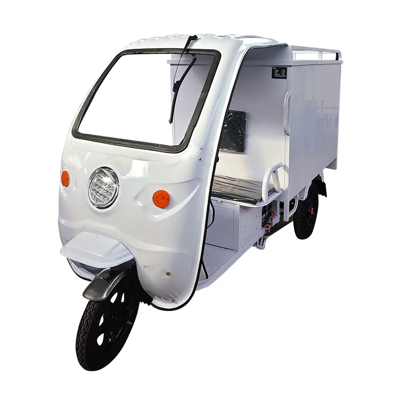 Electric Express Car 3 Wheel Tricycle Express Delivery Electric Tricycle with Closed Carriage 800kg Loading Capacity