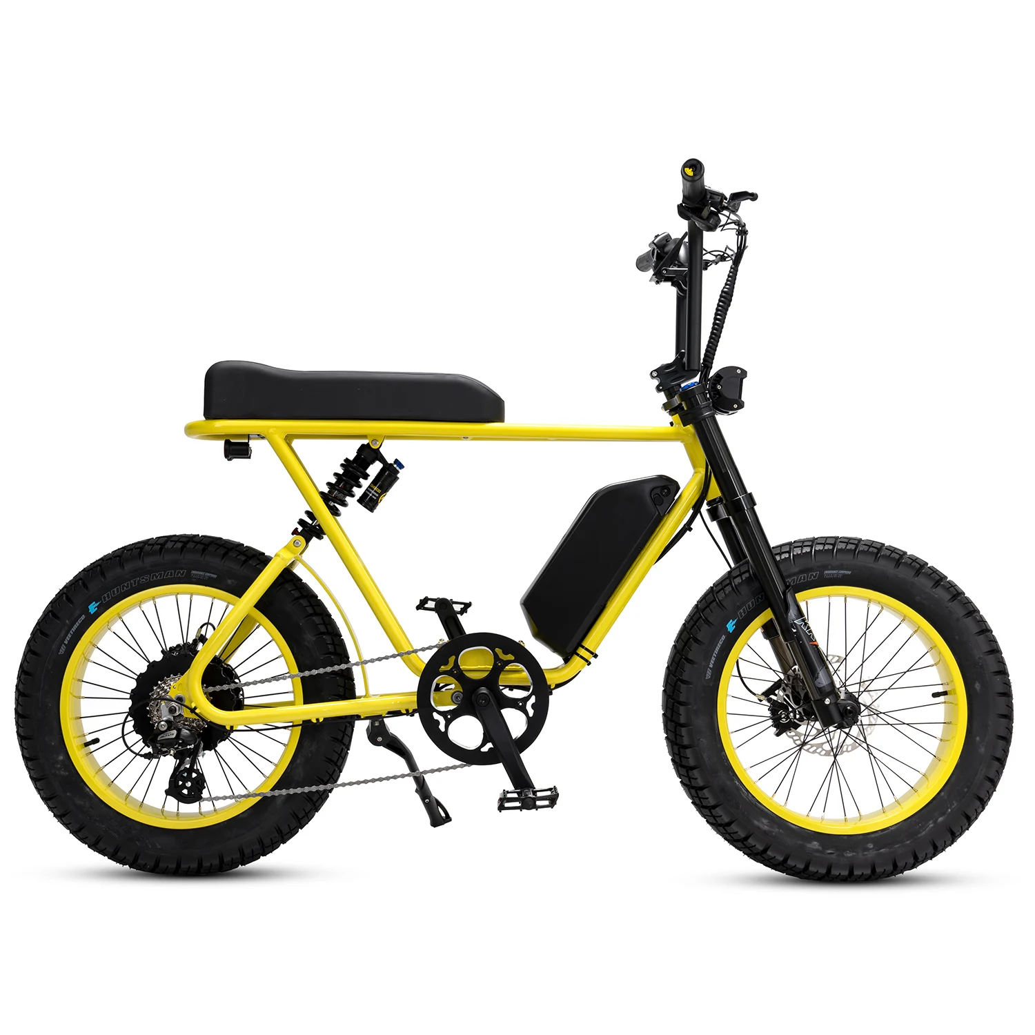 Vintage Retro Ebike 1000w electric bike off road fat tire snow bicycle