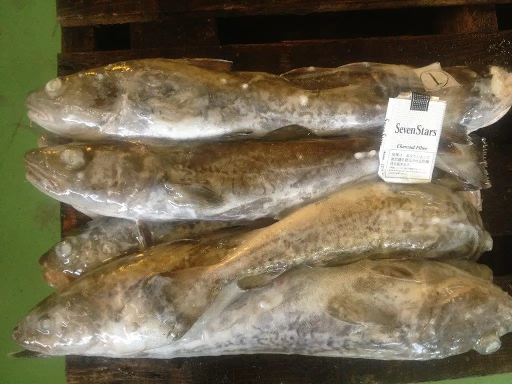Fresh frozen seafood prices frozen mackerel fish made in Japan