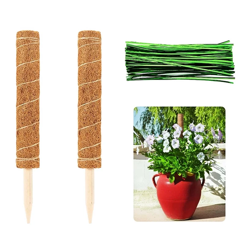Bun Moss Pole Mossstick Peat Spag 14 58 Houseplant Poles Stick North Plant Pins Ties 5 Orchid Stake Totem 36 3D 48 Flowers