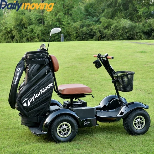 Best Price 1Seat Mini Golf Cart Electric Golf Cart Sightseeing Golf Cart