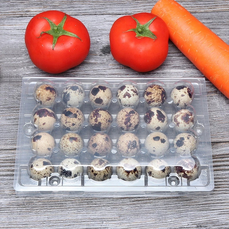 custom  various size disposable  plastic egg crate tray egg box quail egg tray