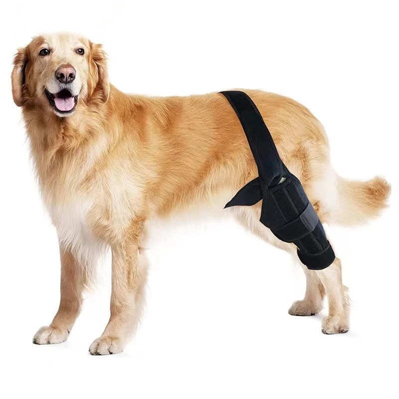 Wholesale Pet Dog Prevent licking Neoprene Leg Knee Brace Support Protective cover for Hind Leg Injuries