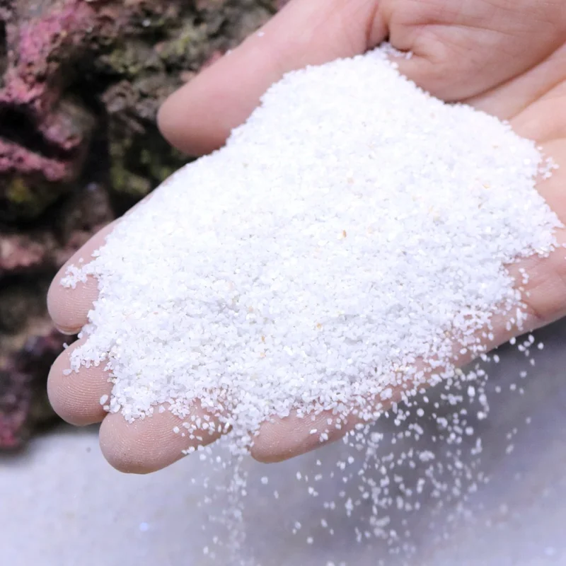Philippine sand shell sand coral sand Aquarium fish tank Landscaping
