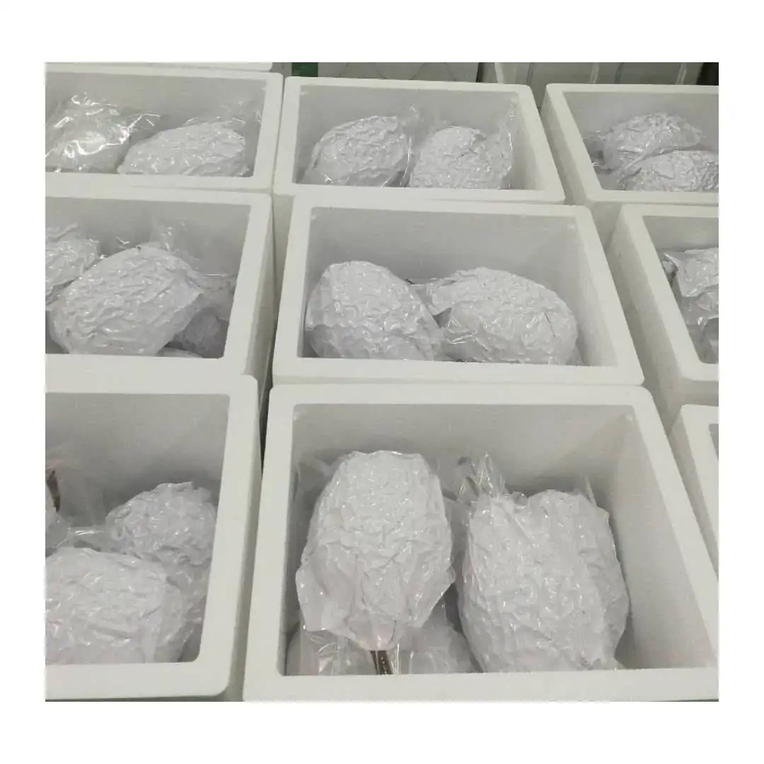 Premium High Quality Lower Price 18 Months Shelf Life Nitrogen Frozen D24 Sultan King Durian Whole Fruit Sweet Aromatic Taste