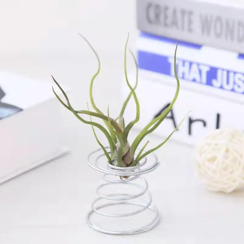 Air Plant Holder Tillandsia Display Holder Decorative Galvanized Steel Home Used with Flower/green Plant Metal,metal Steel