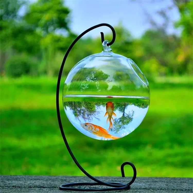 Cheap Price Wholesale Creative Design Small Home Living Room Office Decoration Glass Fish box