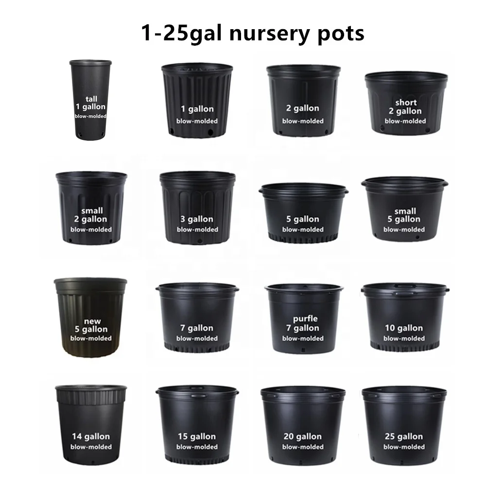 Eco Trade One Gallon Containers Planter Round 2 And Half 24 8 Inches 12x12 Cm 6 Cm Tree Flower Black Large Basins Nursery Pots