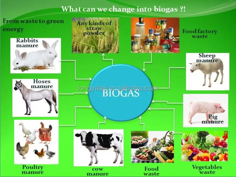 WLY Mini Biogas System Plant