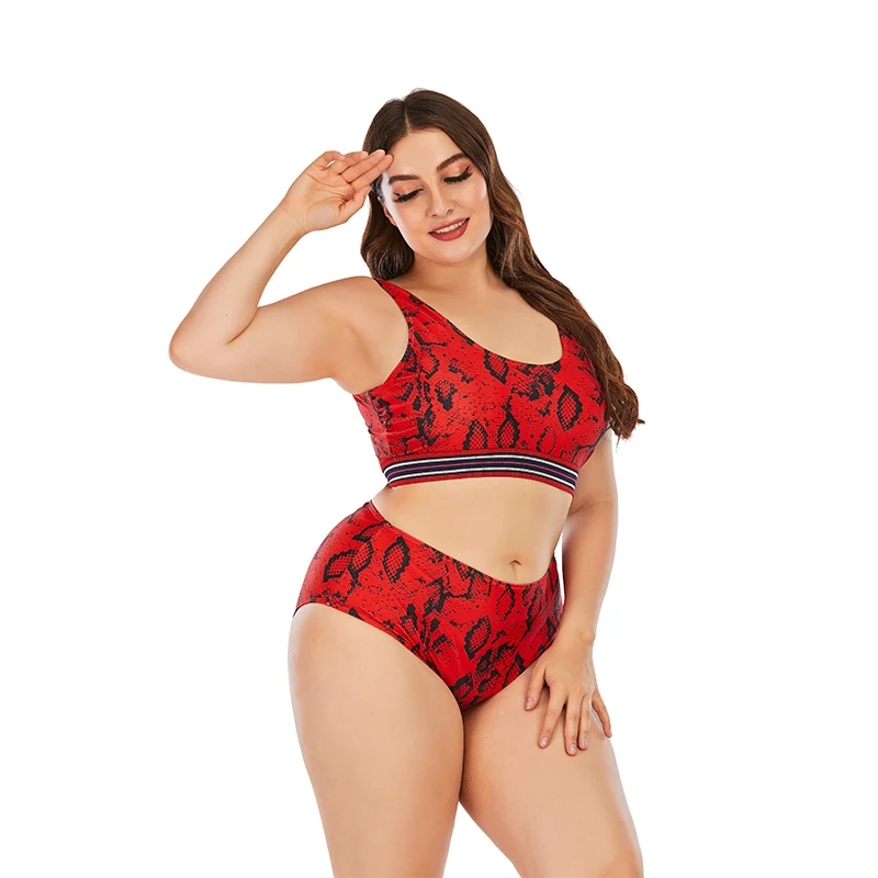 Wholesales Maillot De Bain Femme Sexi Plus Size Fitness Desinger Print Hot Bikini Swim Suit Models Beach Wear Women Swimwear