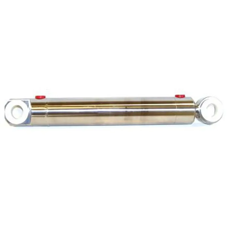 304 316L Stainless Steel Hydraulic Cylinder Manufacturer