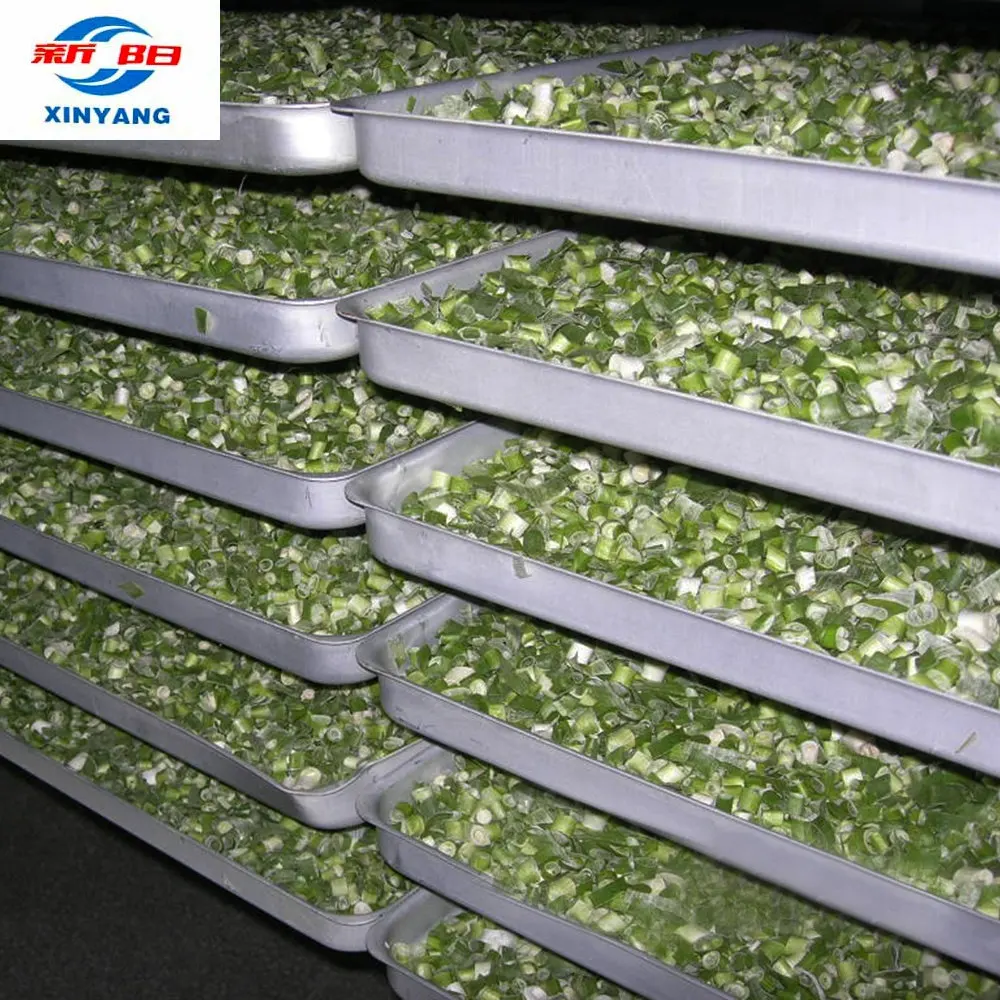 Industrial vacuum freeze dryer for jujube, kiwi, pineapple