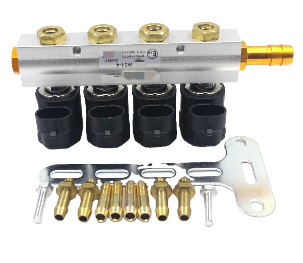 W01-4 2-Ohm Rail Injector 4-Cylinder for Autogas System