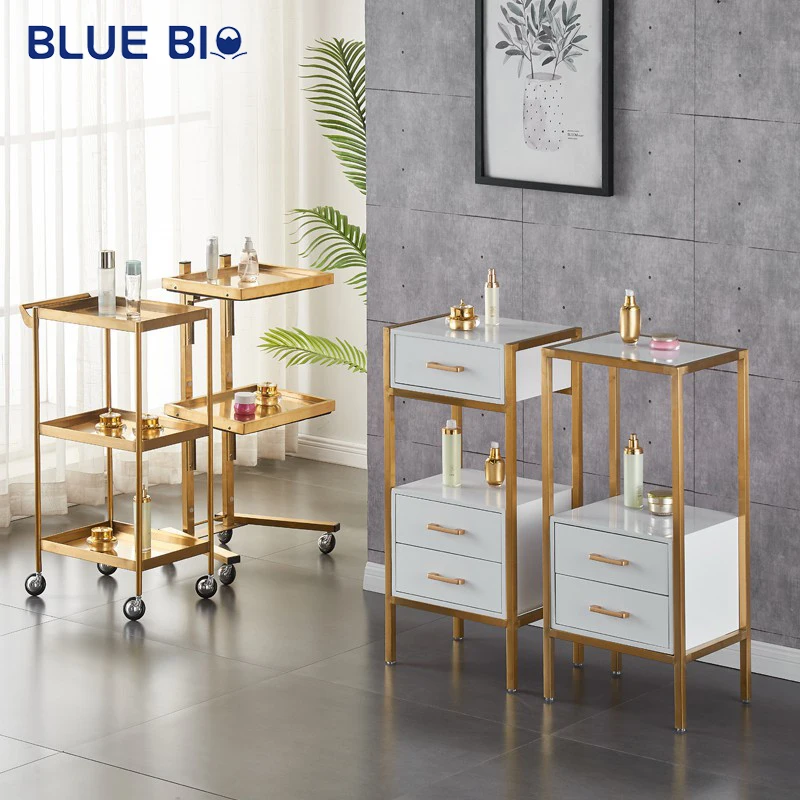 High Quality Stainless Steel Salon Beauty Cart Foldable Multi-function Beauty Trolley Hair Salon Trolley