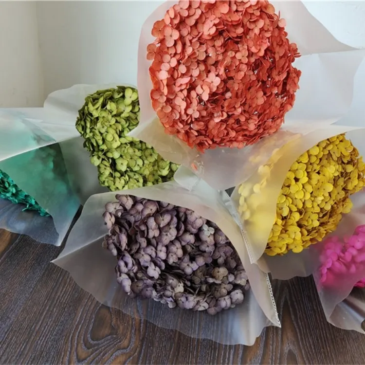 Dried Hydrangeas for home decorations for Christmas dried flowers