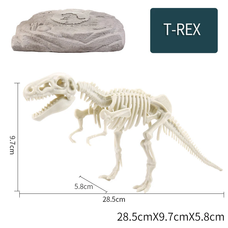 Dig Out Dinosaur Skeleton model Dino Fossil Dig Kit Dinosaur Excavation Fossil Digging Kit for kids