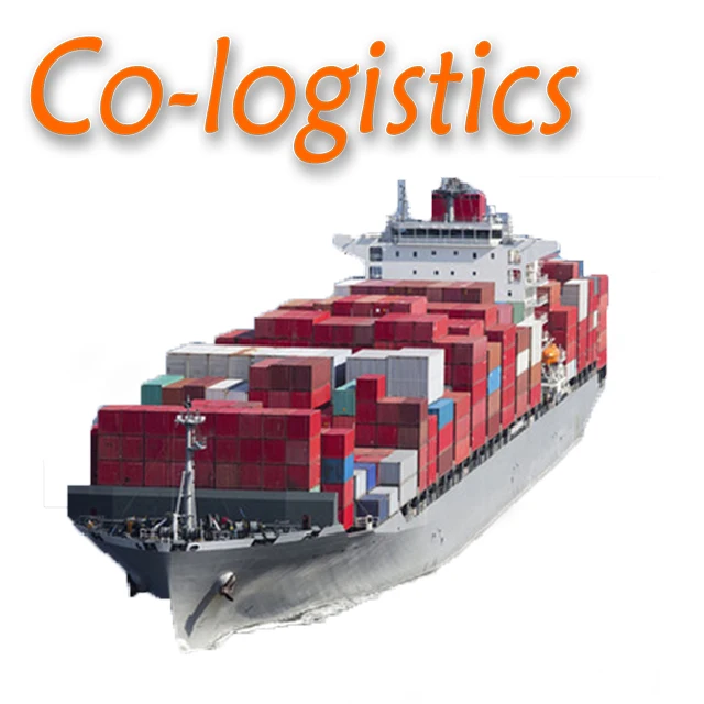 China Sea Shipping door to door service DDP Ningbo to GERMANY