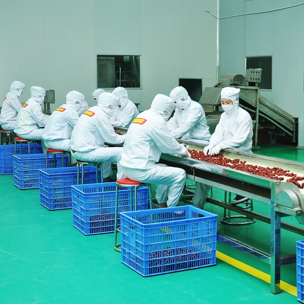 
Wholesale Organic Fresh Dried Jujube Fruit 