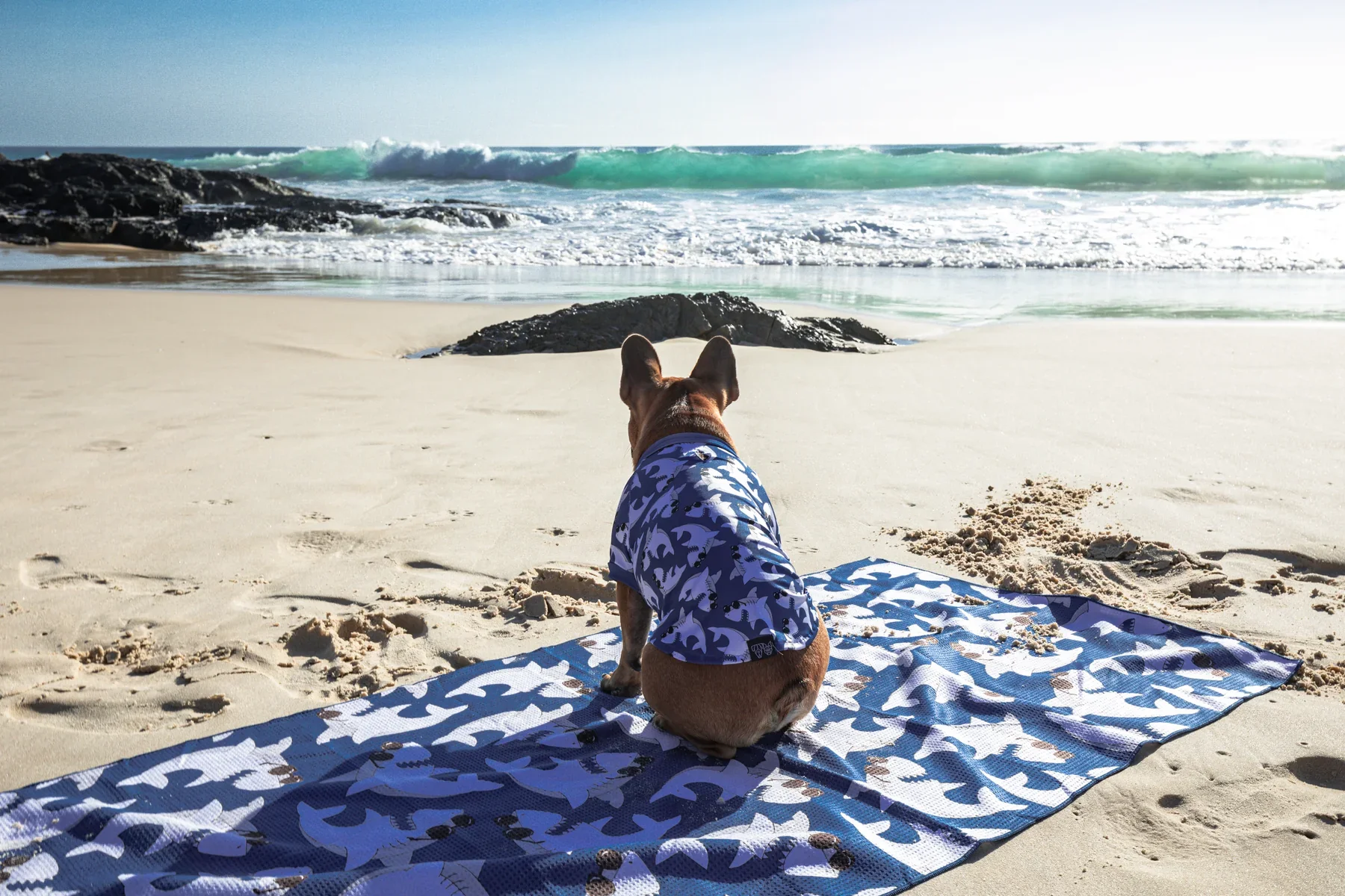 2023 New Custom Print Waffle Pet Beach Towels Sand Free Super Absorbent Microfiber Dog Towel