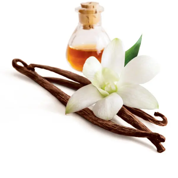 Low price Vanilla Flavour Liquid Food Flavour Essence for food factories