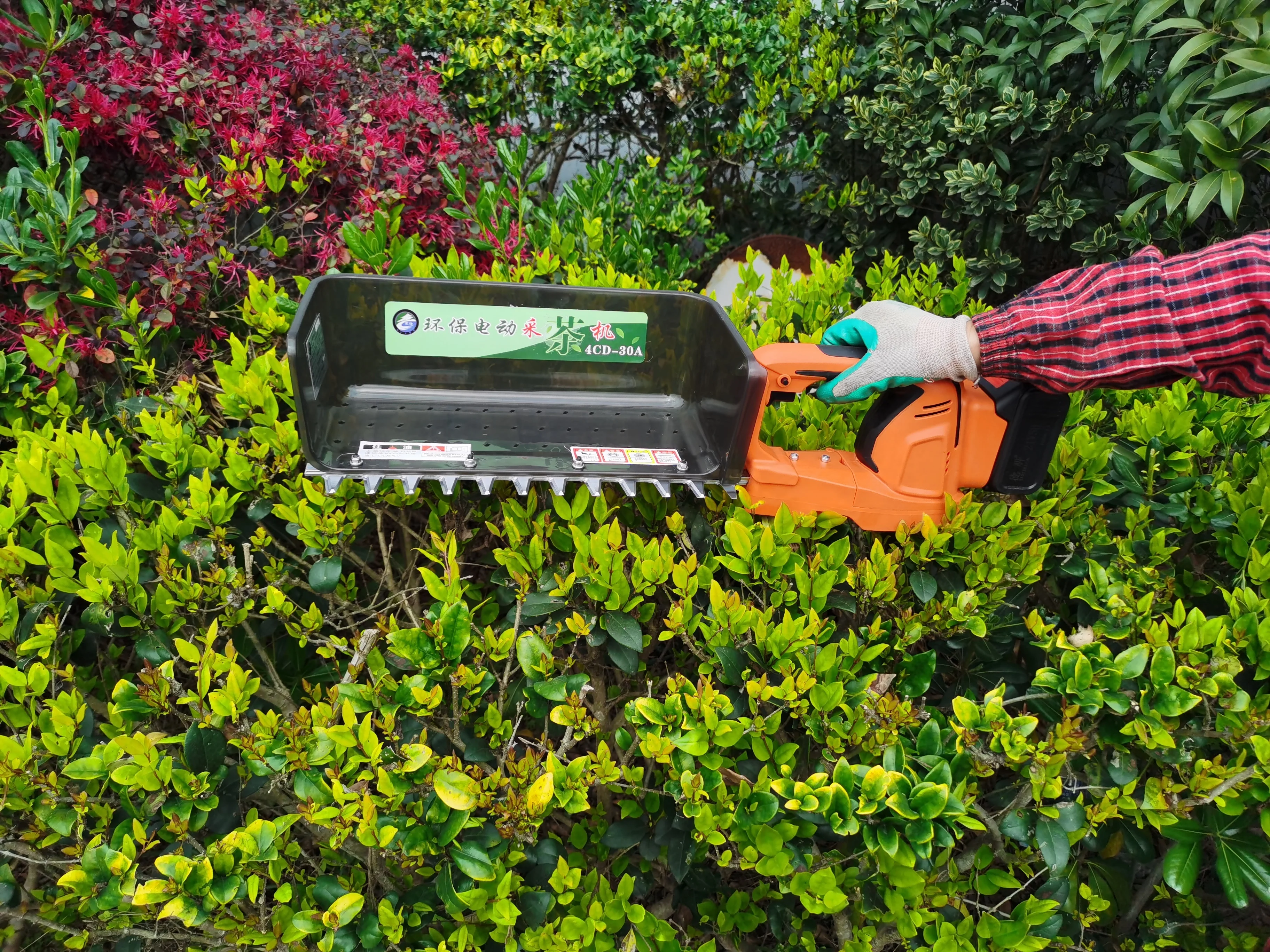 
Small Battery Tea Harvesting Machine for Tea Garden Plucking 