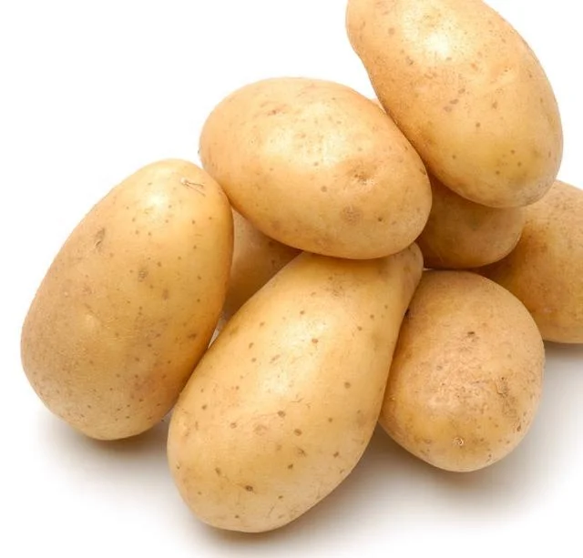 New Crop Holland Potato Fresh Potato for Fries Wedges and Mashed Potato
