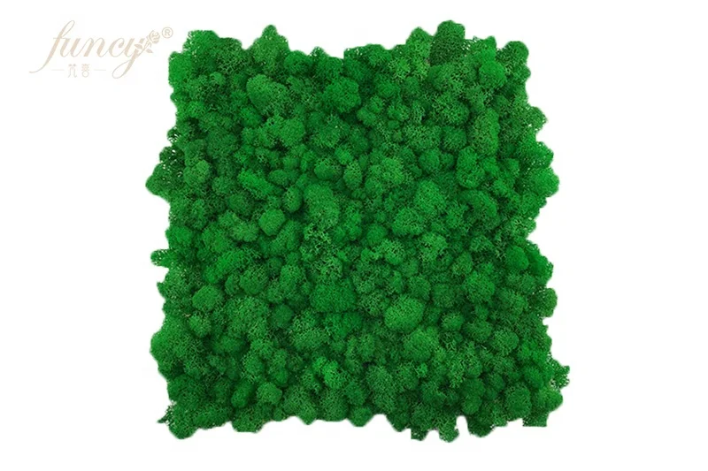 2019 The Most Popular Room Decoration Reindeer Preserved Moss Panel