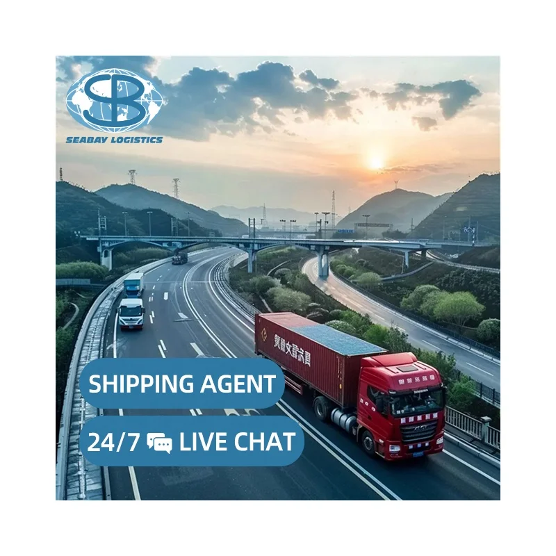 Seabay Air delivery express ups dhl tnt ems China to Saudi Arabia door to door delivery freight forwarder sea shipping agent