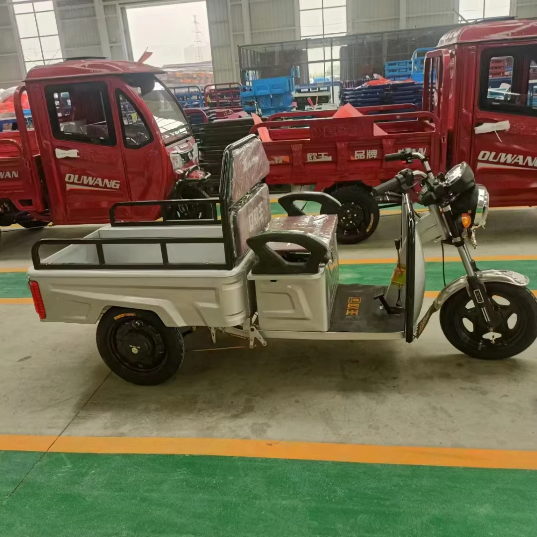 Electric cargo tricycle 2024 The most sold three-wheeled electric tricycle for cargo transport