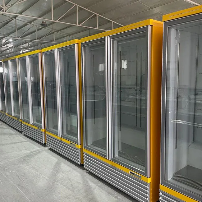 Factory Direct Sales New Type Supermarket refrigerated drinks 2 door vertical glass door freezer