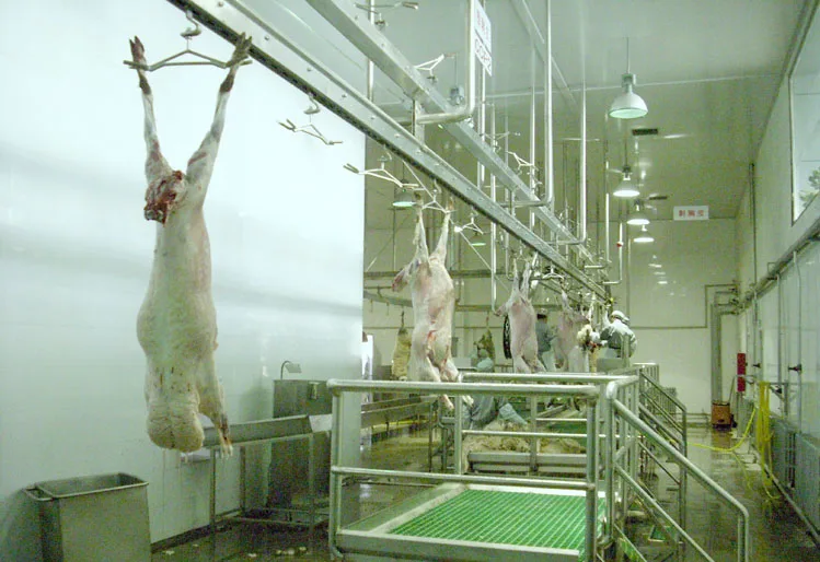 Halal Sheep Slaughterhouse Machinery /Slaughtering Equipment For Goat Lamb