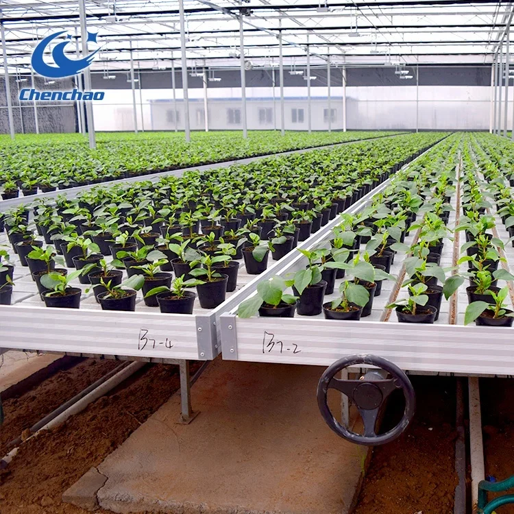 rolling benches ebb and flood tray tobacco seedbed