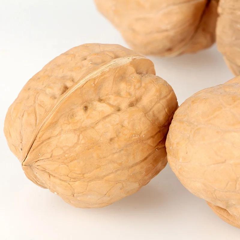 Walnut Wallnut Walnut Specialty Nuts Dried Fruit Delicious Thin Skin Wallnut