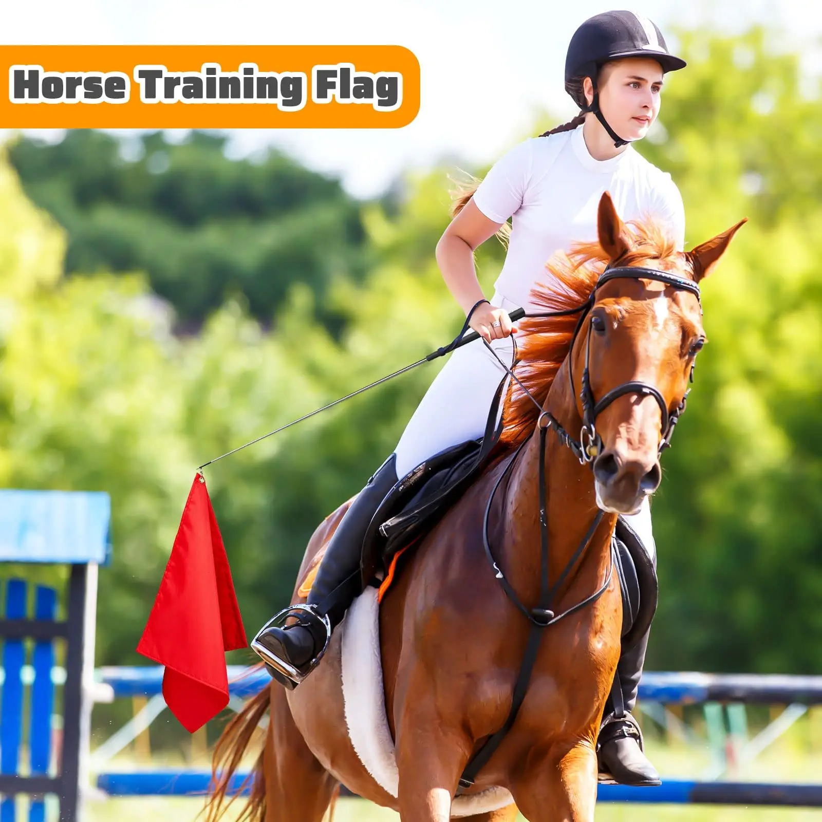 Wholesale High Quality Horse Equipment Custom Horse Training Flag Equestrian Training Flag with Telescopic Flagpole