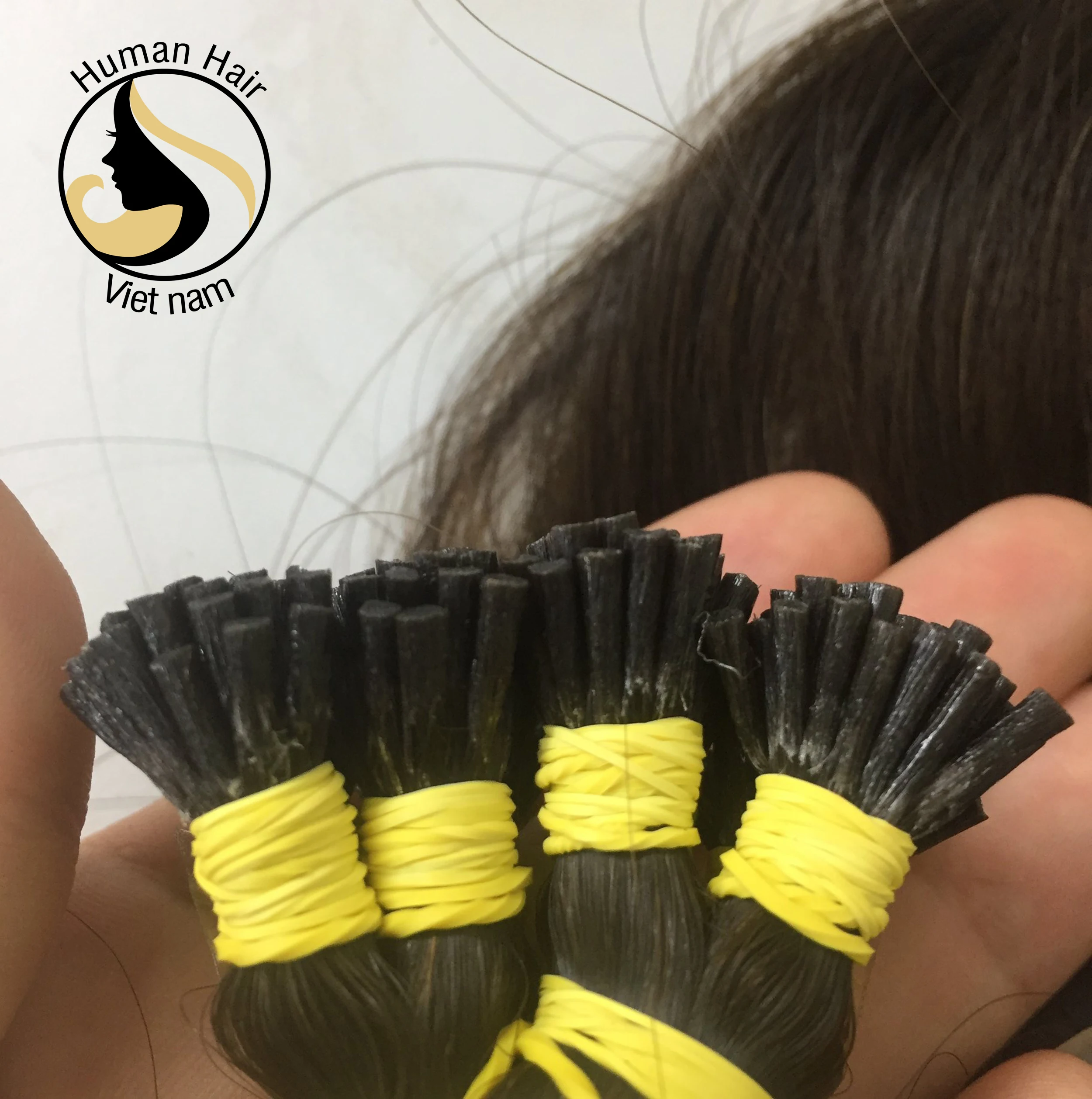 Keratin Human Fusional Hair No Shedding Natural I Tip Hair Extensions of Human Hair Vietnam