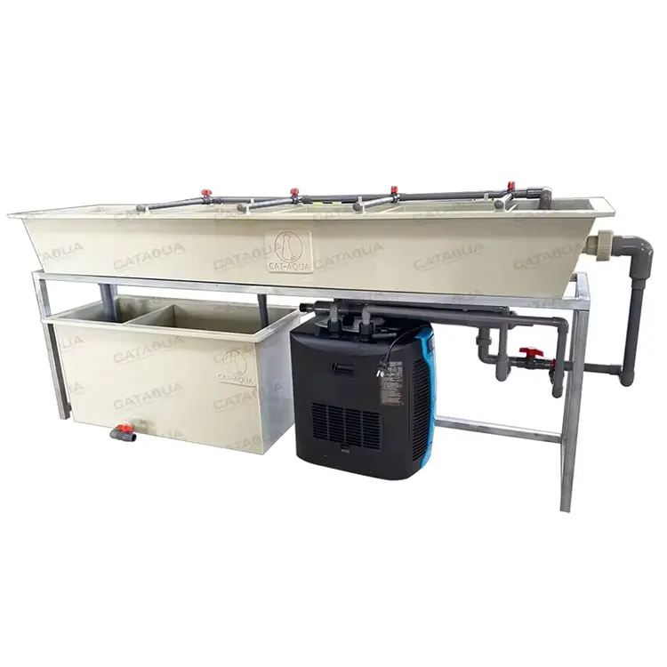 CATAQUA Fish Farming Incubator Equipment PP Plastic Material Fish Hatchery Incubator for Fish Hatching