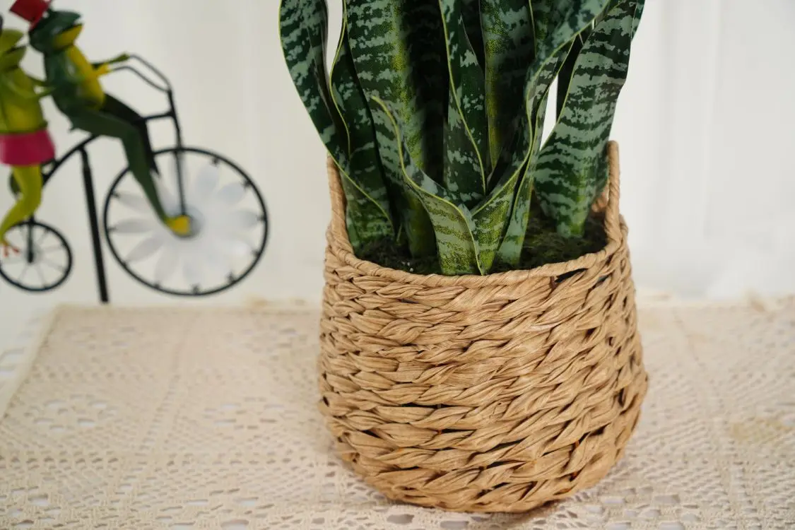 Hourpark Factory Anti-UV Waterproof Outdoor Agave Bonsai Sets Artificial Plants For Decoration