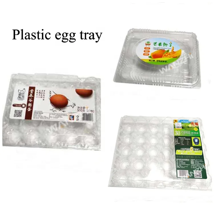 Fully automatic labeling machine for plastic egg tray