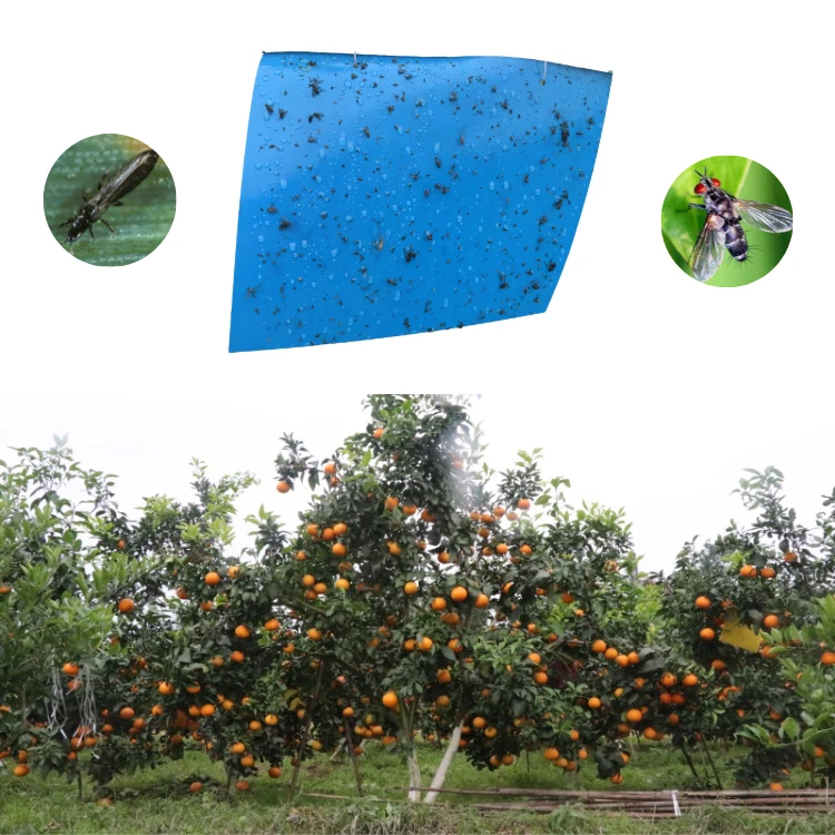 Insect Sticky Trap Pest With Double-sided Glue For Greenhouse Orchard Farm Waterproof