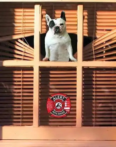 Pet Alert Safety Fire Rescue Sticker Save Our Cat/Dog Firefighters will See Alert on The Window Door or House