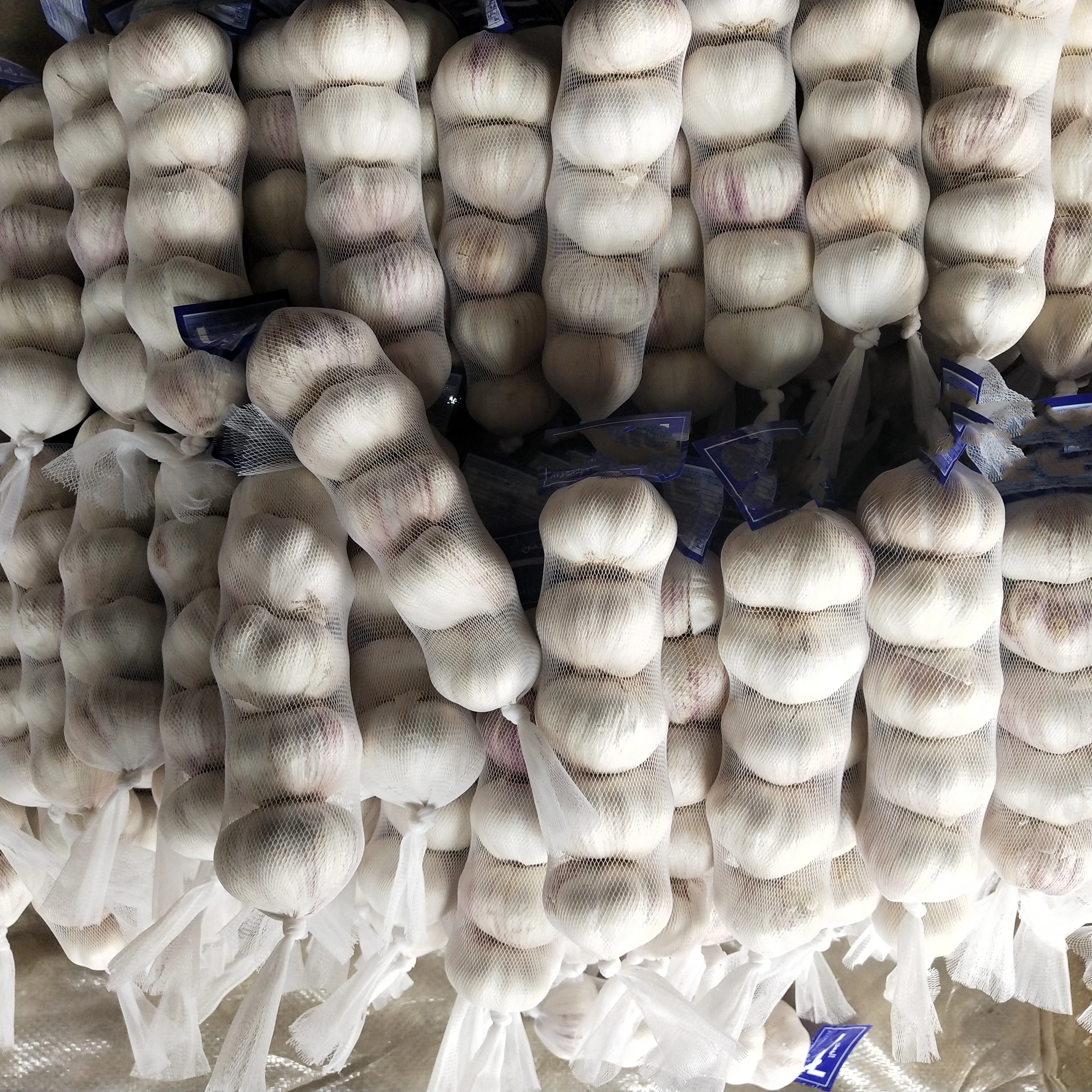 2021 новый урожай чеснока из Китая/китайского чеснока 5,0 см 5p 6p в коробке чеснок оптовая продажа Обычный белый